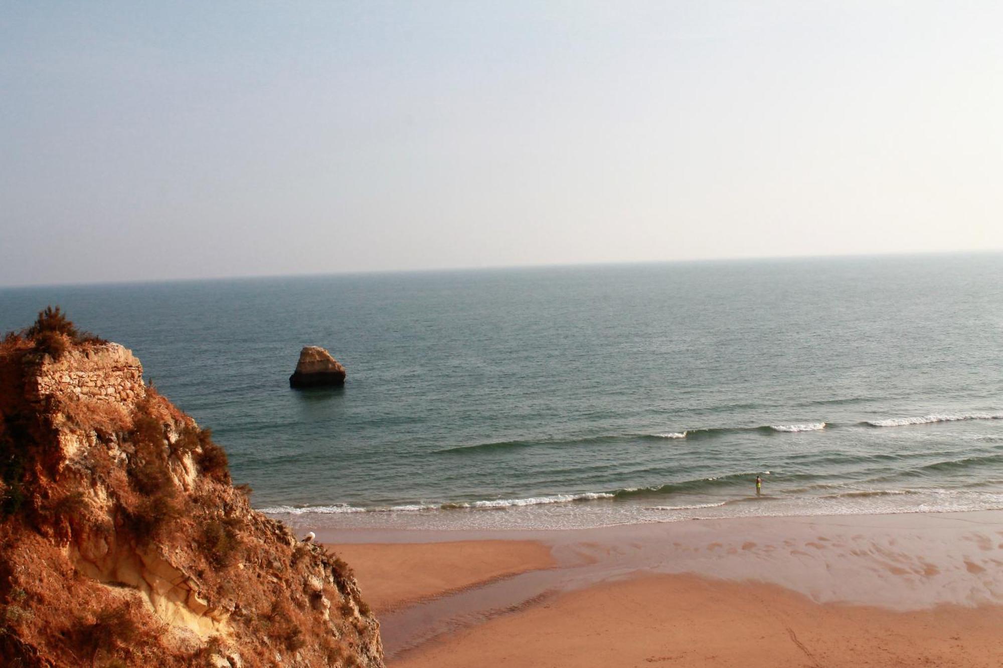 Praia Da Rocha, Vila Rosa, T1, Piscinas, Parqueamento E Internet By Ig Portimao Exterior photo